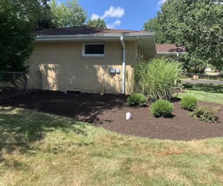 Light Green Lawn Maintenance