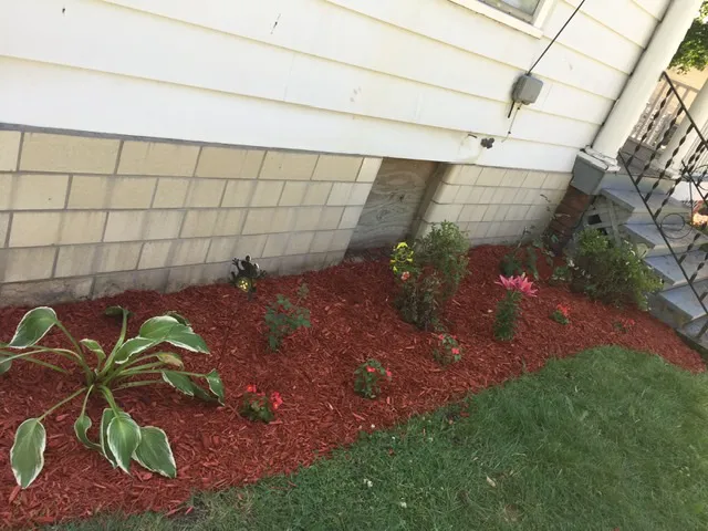 Light Green Lawn Maintenance Picture 2