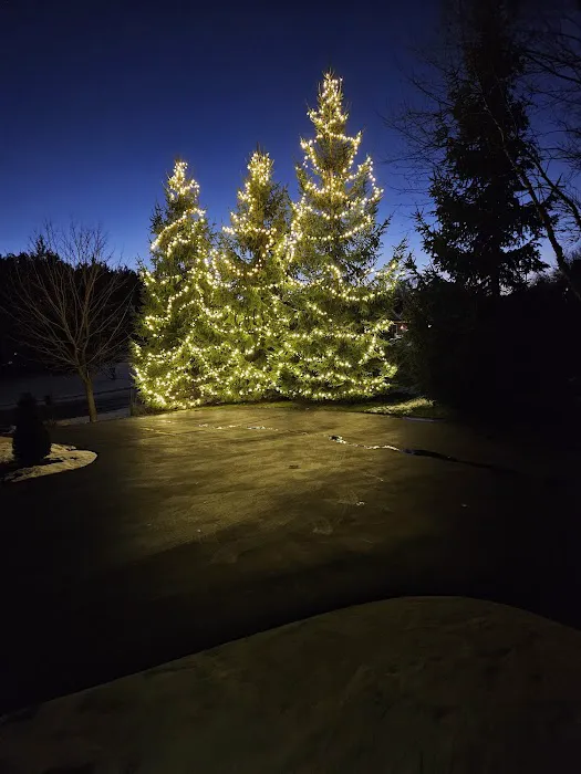 Twilight Solutions Architectural Landscape Lighting, LLC Picture 6