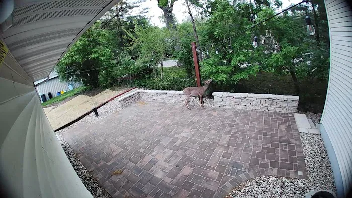 Sunrise Gardens LLC Picture 3