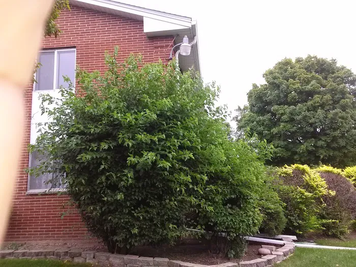 Greenfield Landscaping Picture 2