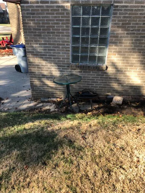 Mr Nice Guy's Landscaping Picture 1