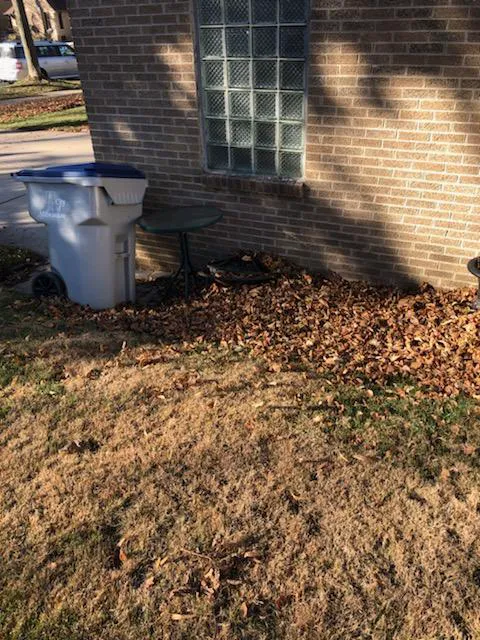 Mr Nice Guy's Landscaping Picture 5