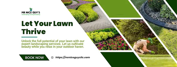 Mr Nice Guy's Landscaping Picture 3