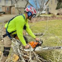 Husky Tree Services ico