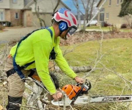 Husky Tree Services