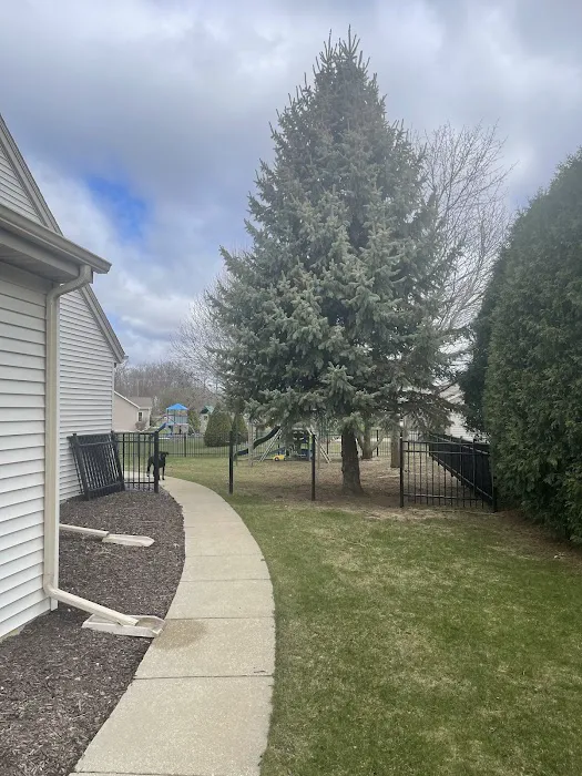 Husky Tree Services Picture 5