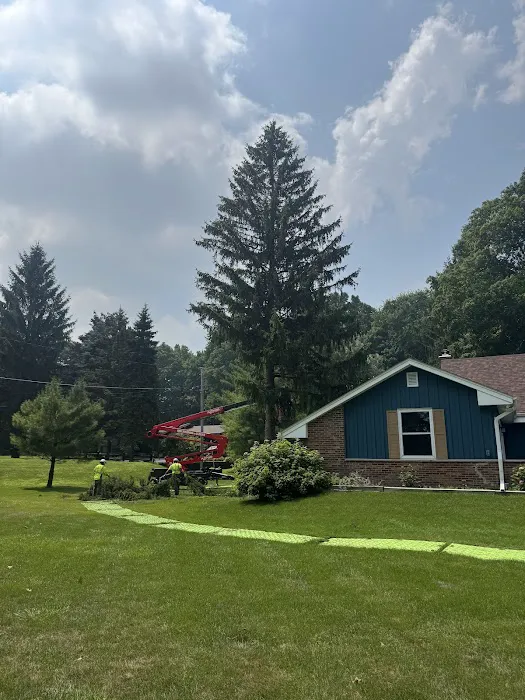 Husky Tree Services Picture 10