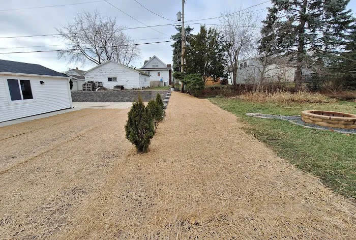 Trees On The Move Picture 1