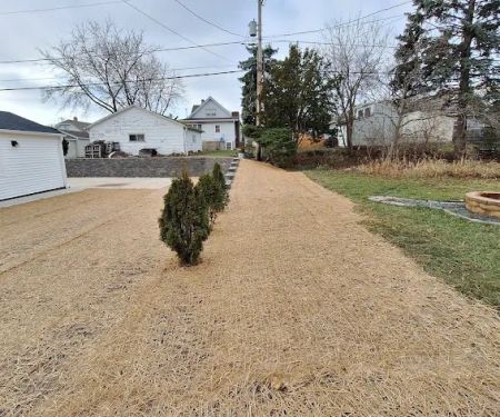 Trees On The Move