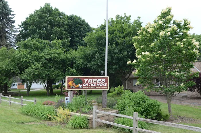 Trees On The Move Picture 3