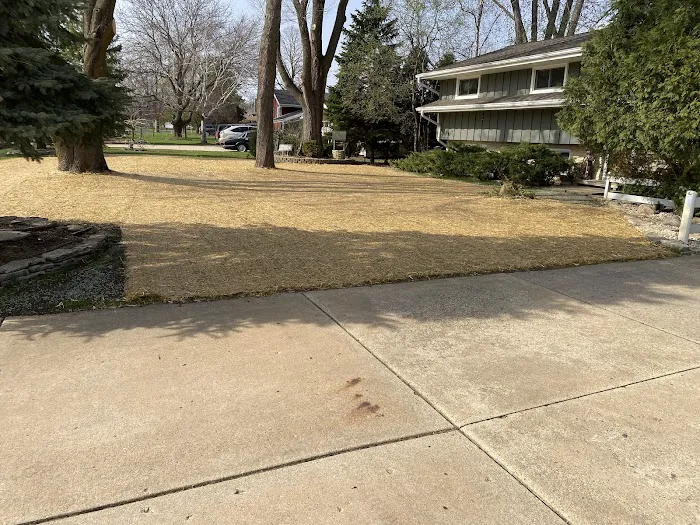Green Life Landscapes LLC Picture 2