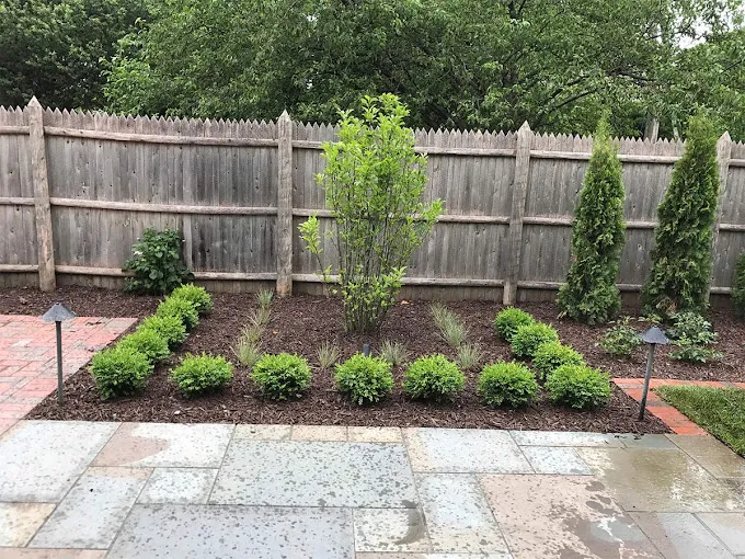 Green Life Landscapes LLC Picture 1