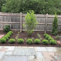 Green Life Landscapes LLC ico