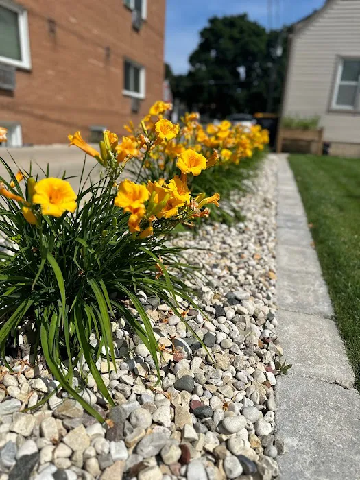 Turf and Tundra Outdoor Services Picture 3