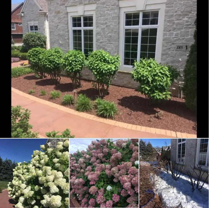 Woodridge Landscapes Picture 10