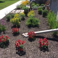Woodridge Landscapes ico