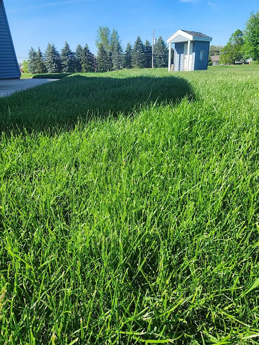 Paul Terry Services Lawn Care and Landscaping [PTS] Picture 4
