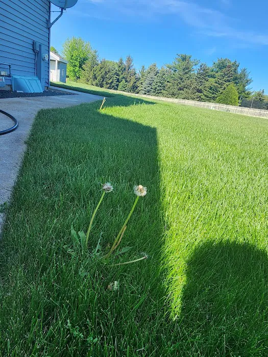 Paul Terry Services Lawn Care and Landscaping [PTS] Picture 1