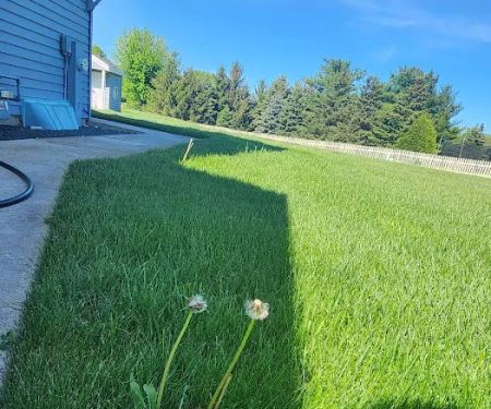Paul Terry Services Lawn Care and Landscaping [PTS]