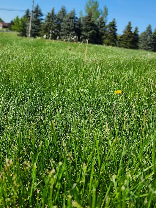 Paul Terry Services Lawn Care and Landscaping [PTS] Picture 8