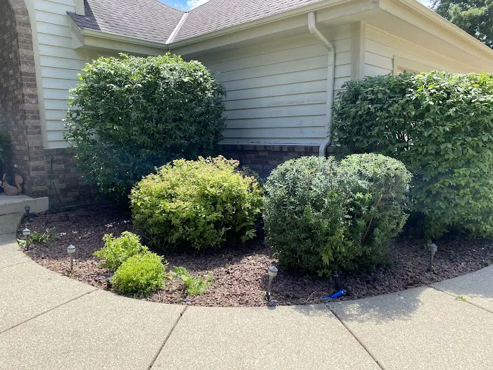 Paul Terry Services Lawn Care and Landscaping [PTS] Picture 9