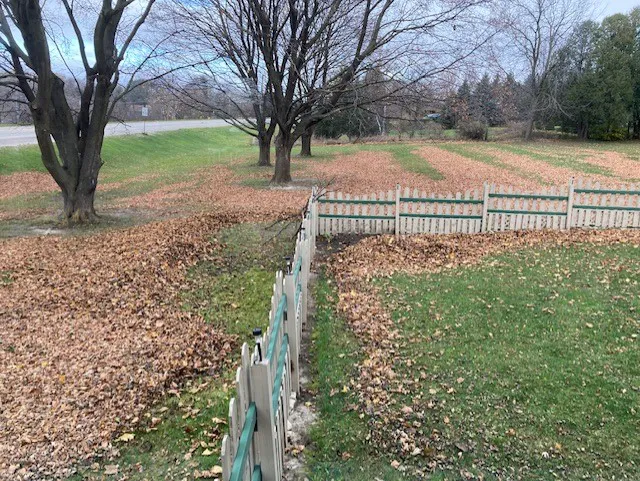Paul Terry Services Lawn Care and Landscaping [PTS] Picture 5