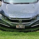 Badgerland Lawn & Landscaping