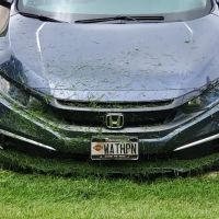 Badgerland Lawn & Landscaping ico
