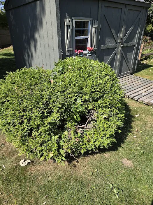 Bryce's Lawn Service Picture 10