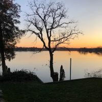 TreesNoMore.com ico