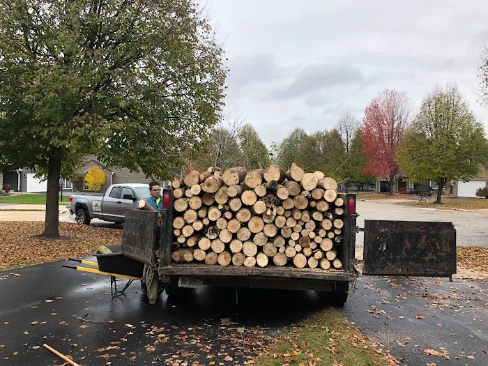 TreesNoMore.com Picture 6