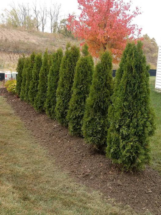 Spring Lawn Care Service LLC Picture 2