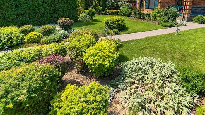 Stone Oak Landscapes LLC Picture 4