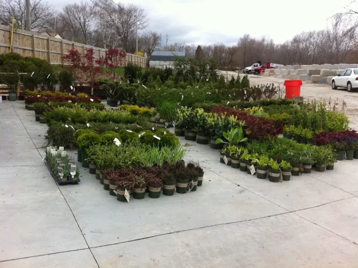 Choice Landscaping LLC Picture 9