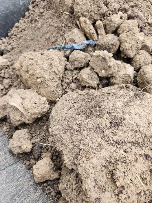 Choice Landscaping LLC Picture 4