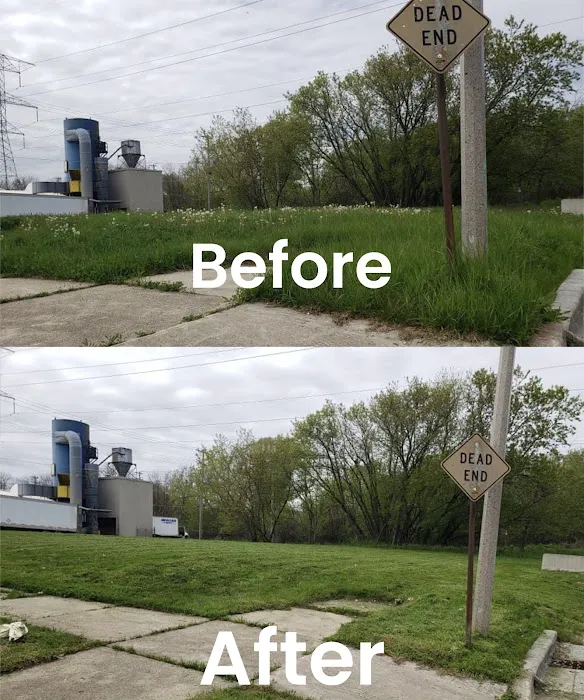 Roca Landscaping Picture 4