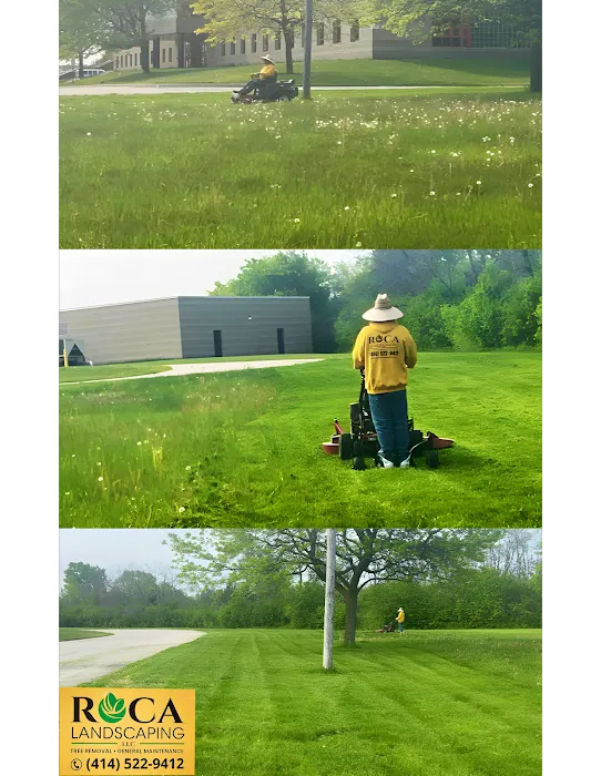 Roca Landscaping Picture 6