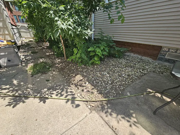 Roca Landscaping Picture 10