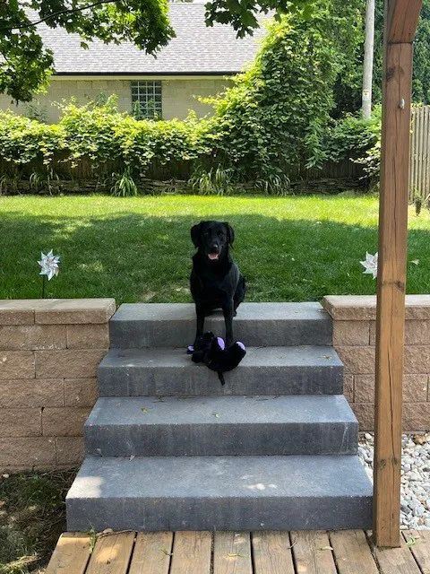 Pro Hardscape & Lawn LLC Picture 9