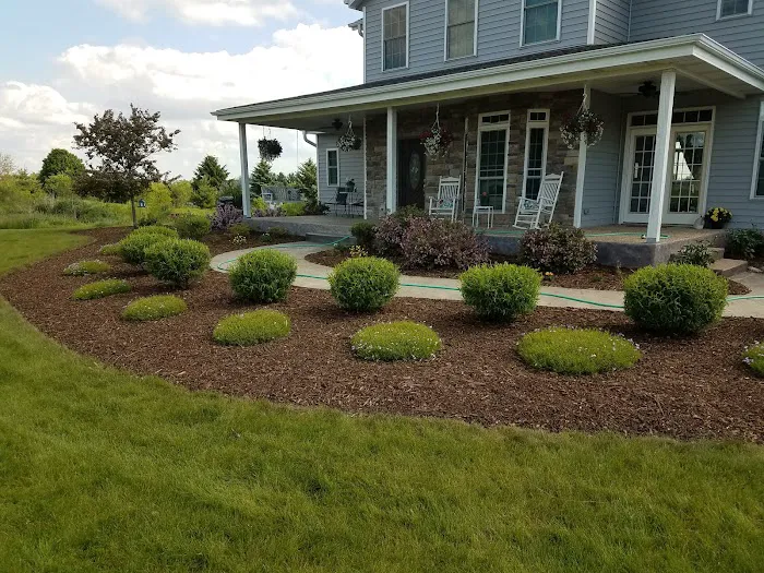 Ox Landscape Construction & Tree Service LLC Picture 5