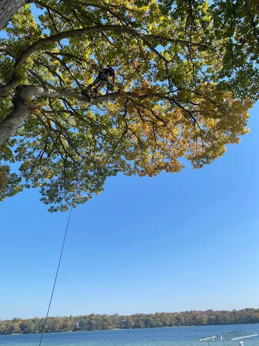 Midwest Tree & Landscape LLC Picture 5