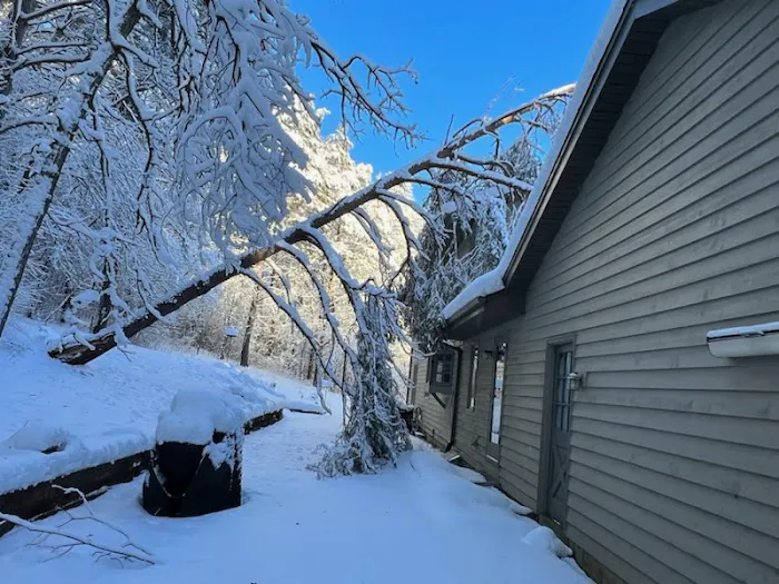 Midwest Tree & Landscape LLC Picture 7