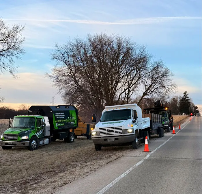 Midwest Tree & Landscape LLC Picture 3