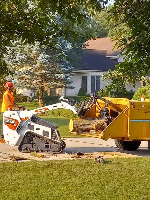 Midwest Tree & Landscape LLC Picture 4