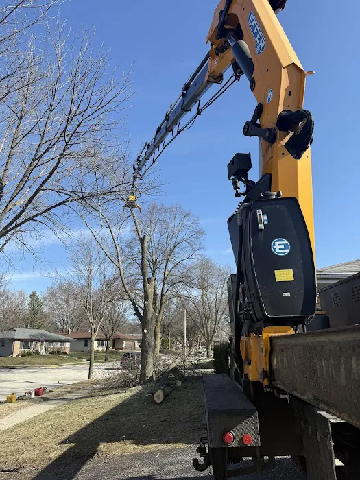 Midwest Tree & Landscape LLC Picture 10