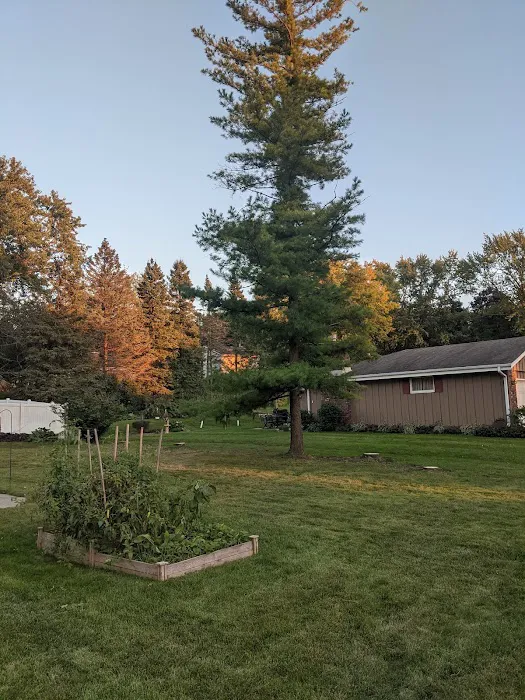 Midwest Tree & Landscape LLC Picture 9
