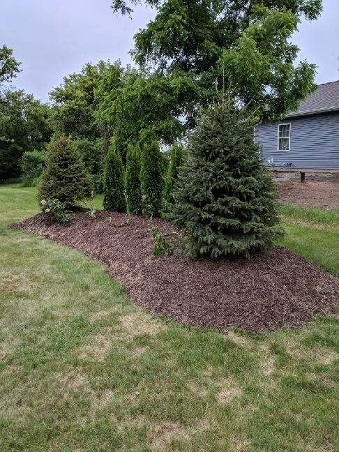 MWscapes LLC. Picture 2