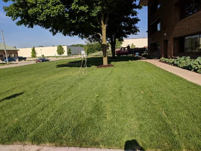 MWscapes LLC. Picture 1