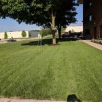 MWscapes LLC.